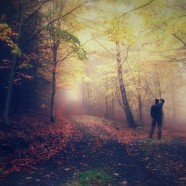 Lost each other along the way?