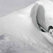 Never thought you’d be here?