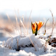 Grow. Even if it’s slowly.