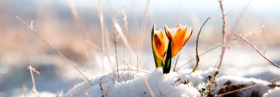 Grow. Even if it’s slowly.